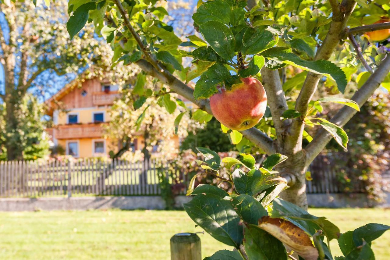 Girlinggut Schlafen Starten Salzburg エリックスハウゼン エクステリア 写真